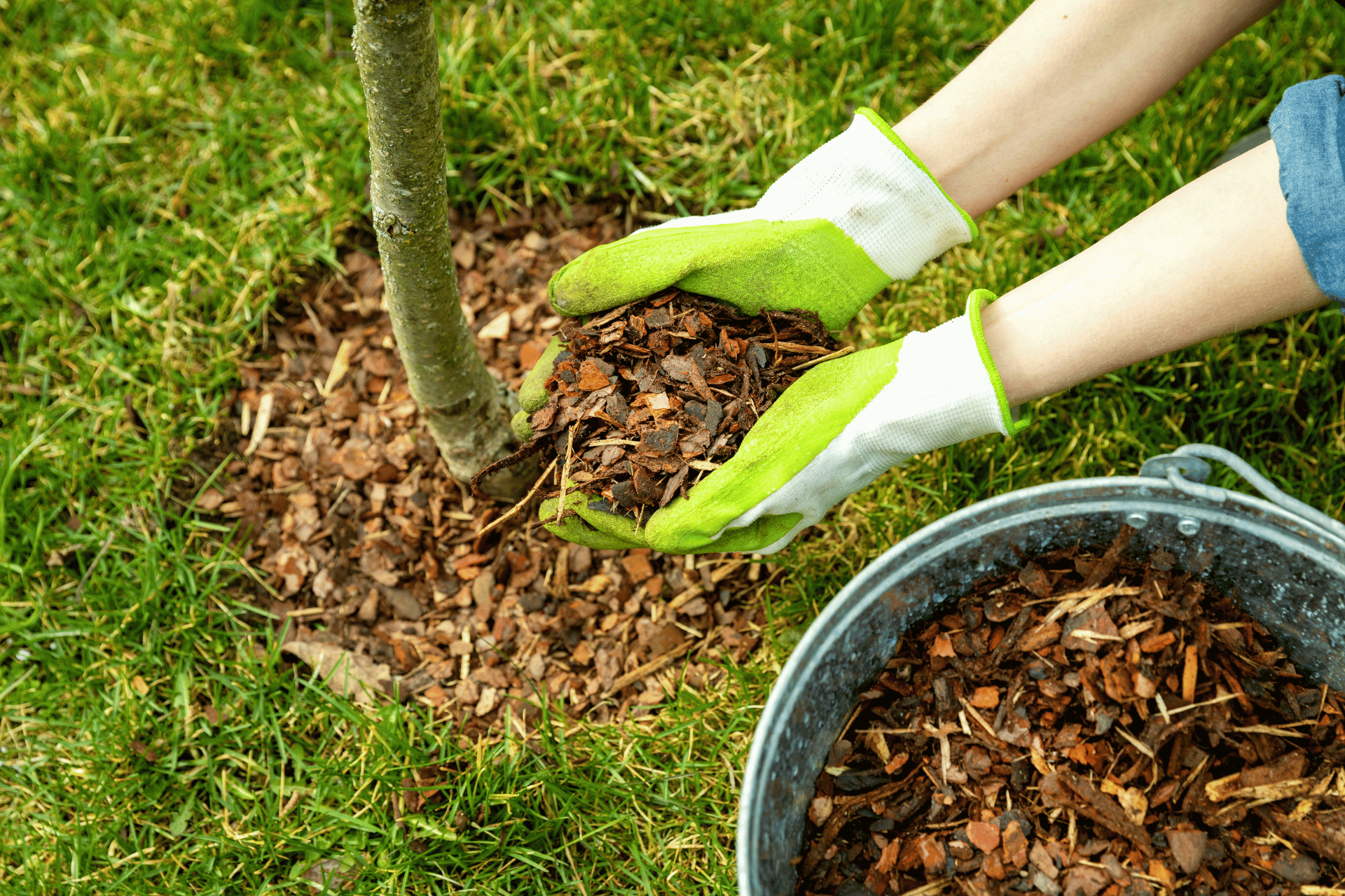Mulched garden beds Perth home