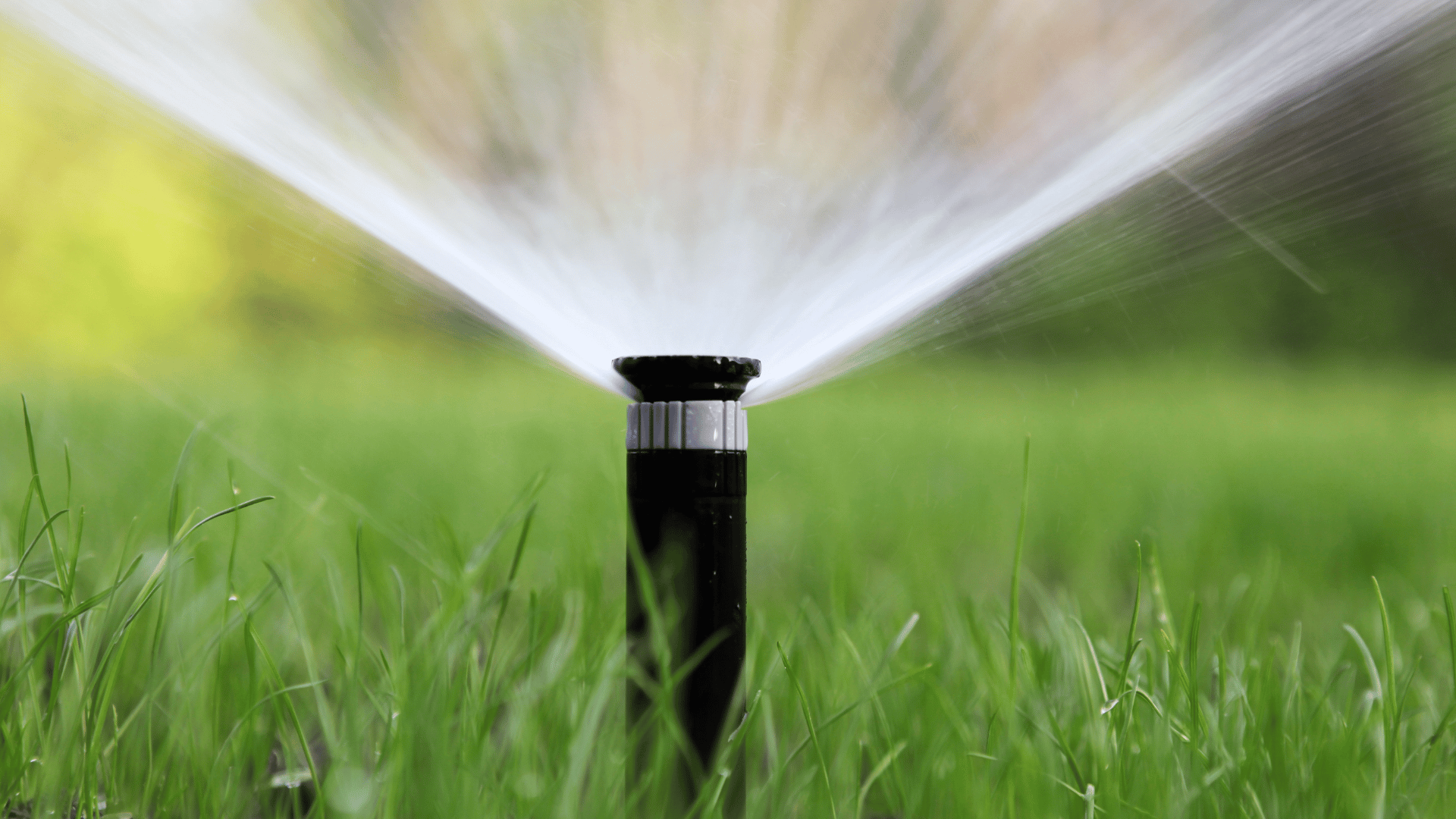 Reticulation installation Perth lawn